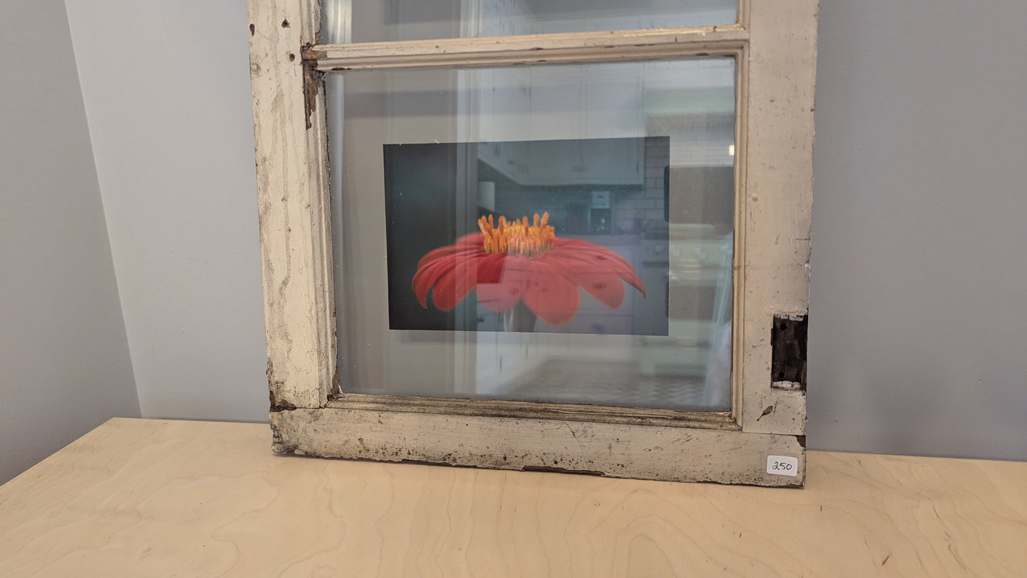 Window Triptych - Flowers