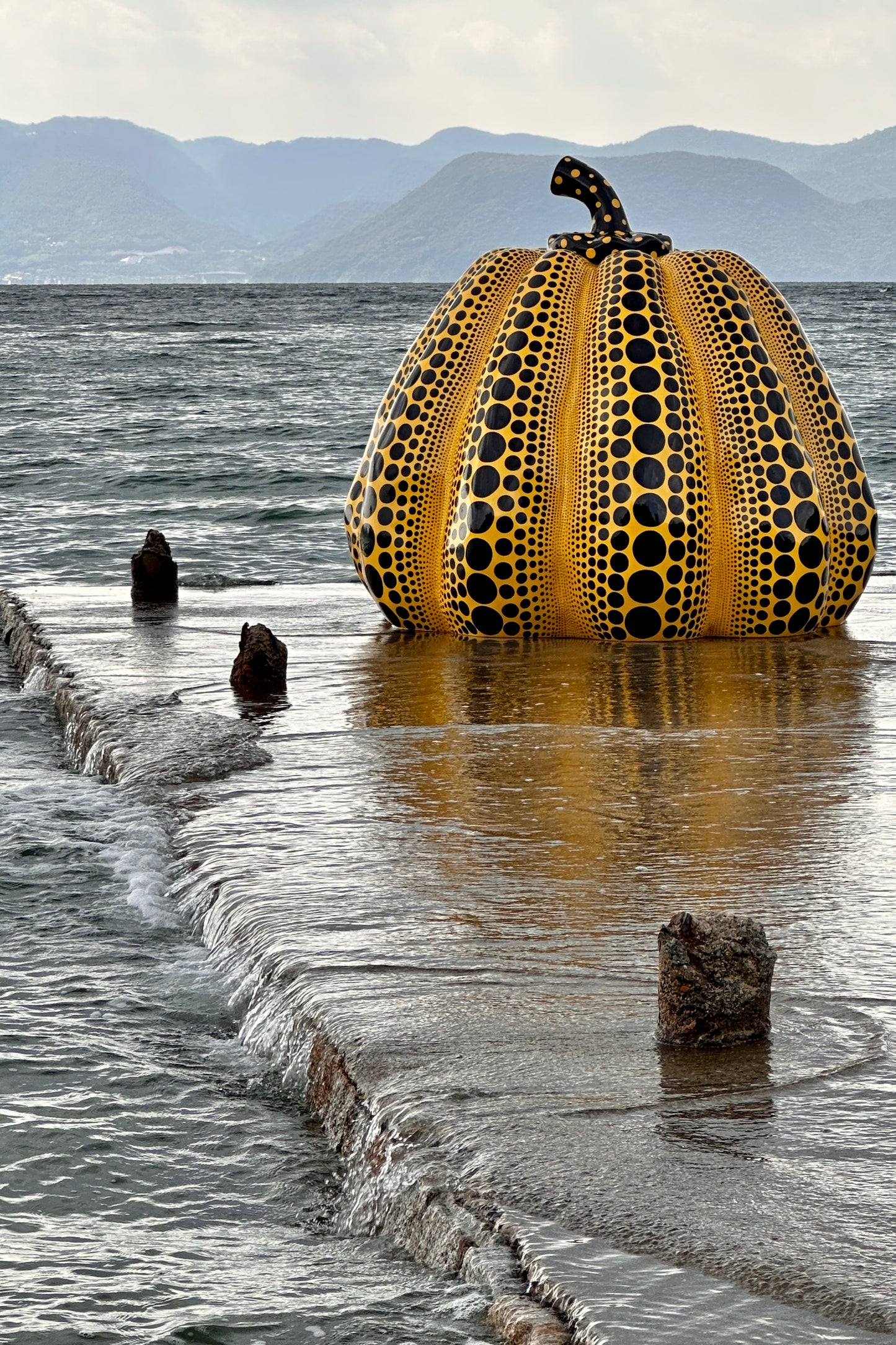 Kusama's Dots - 2023