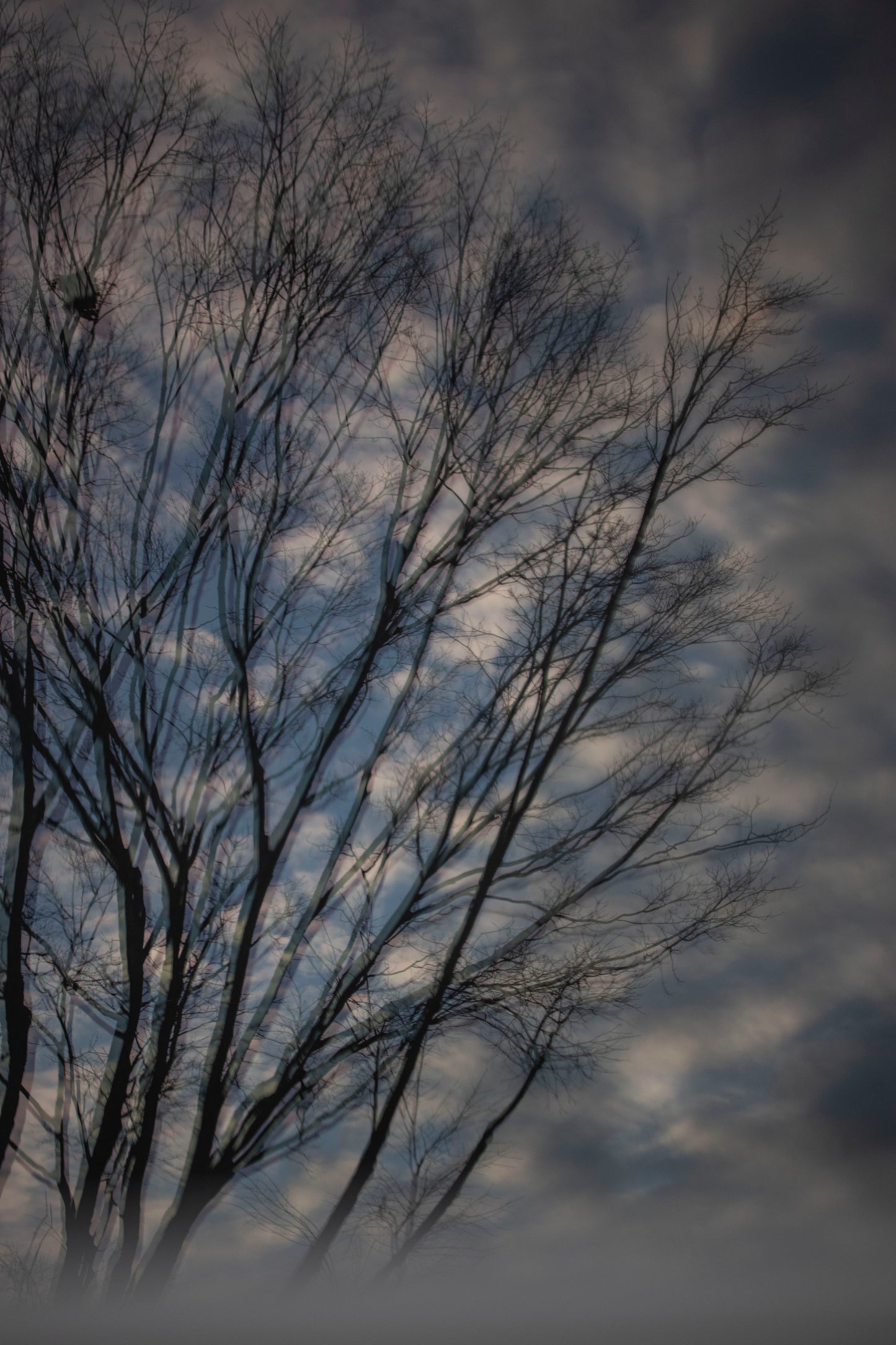 Winter reflected - 2020