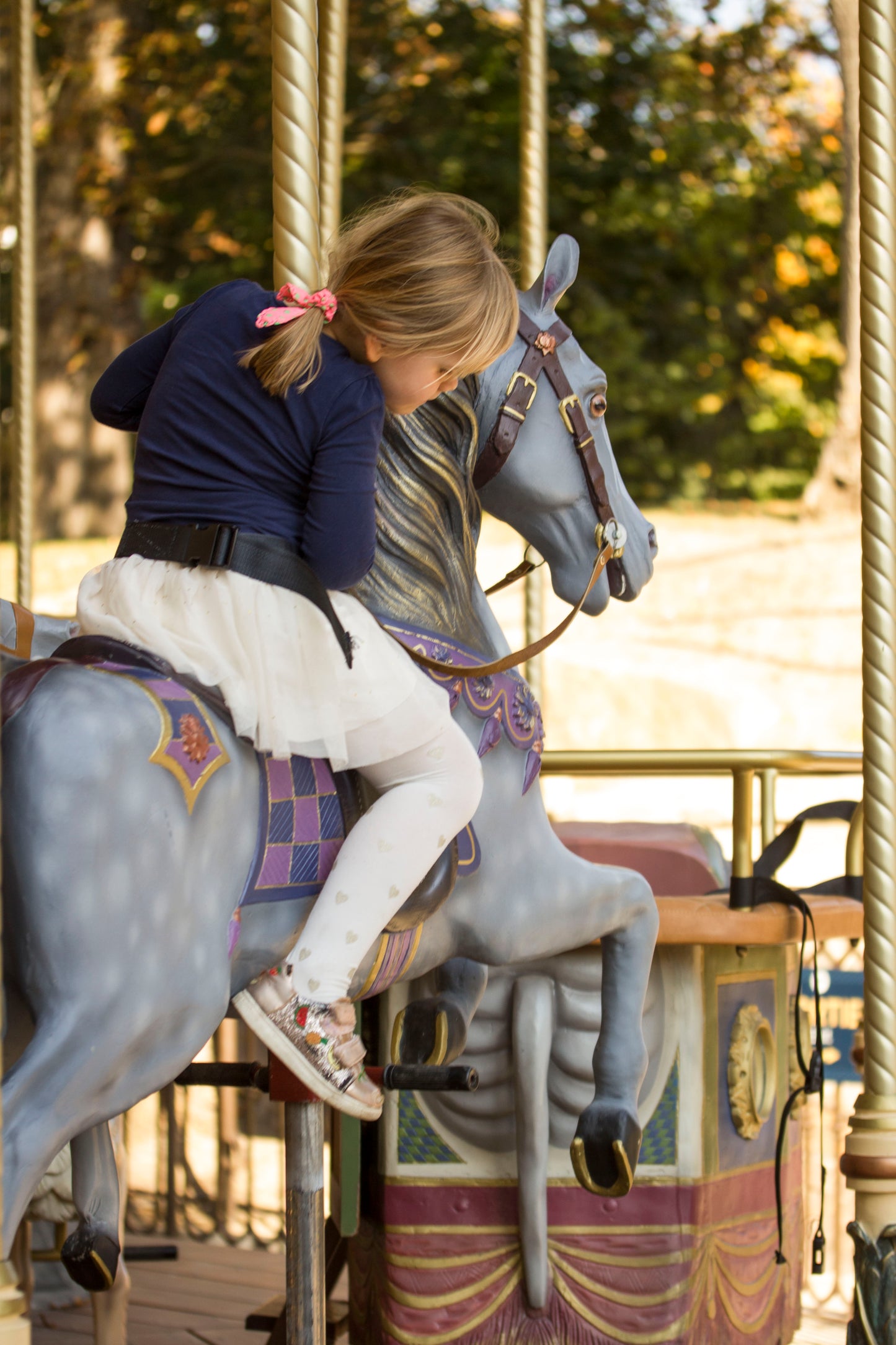 Cheval de Carrousel - 2018