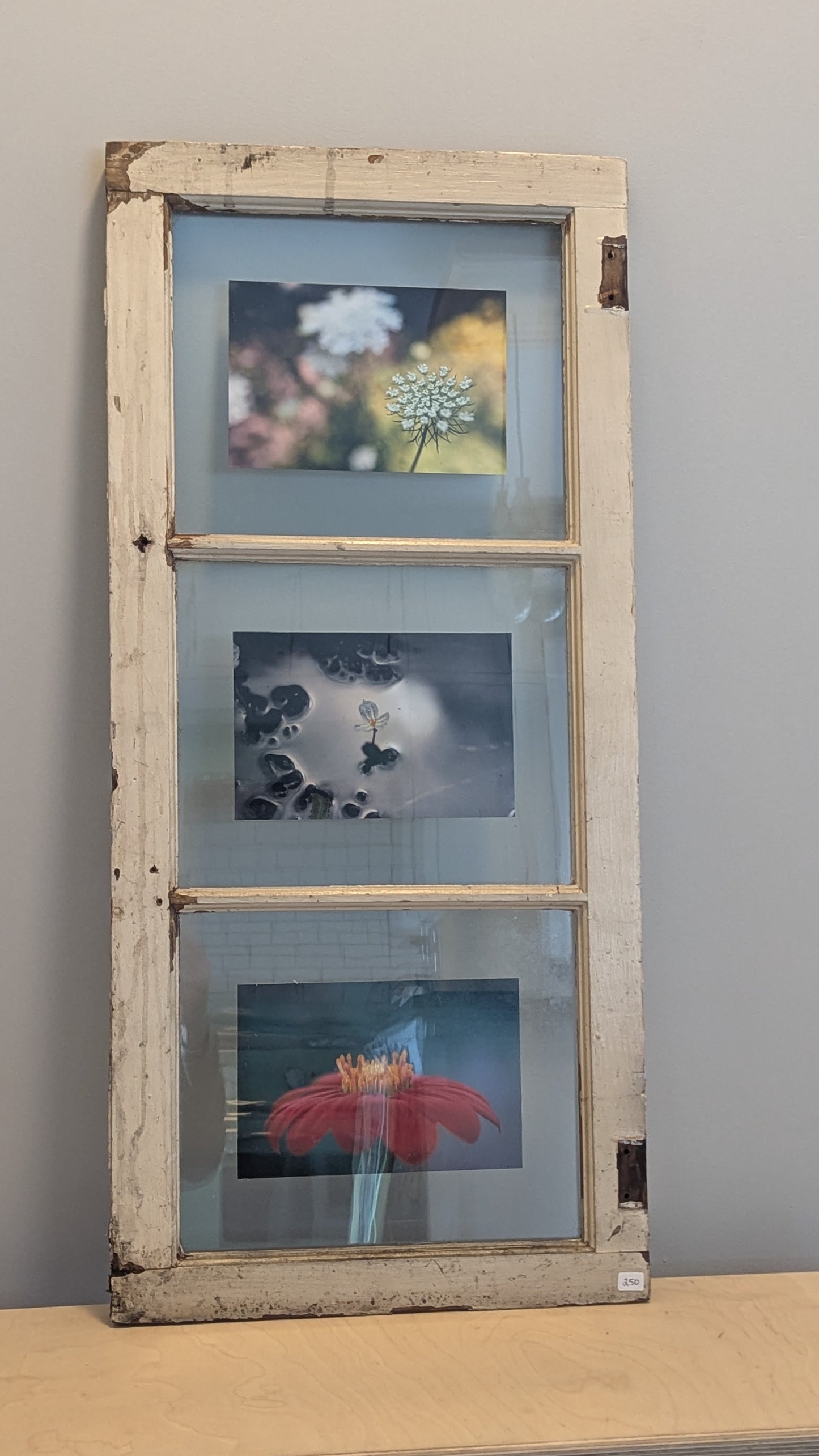 Window Triptych - Flowers