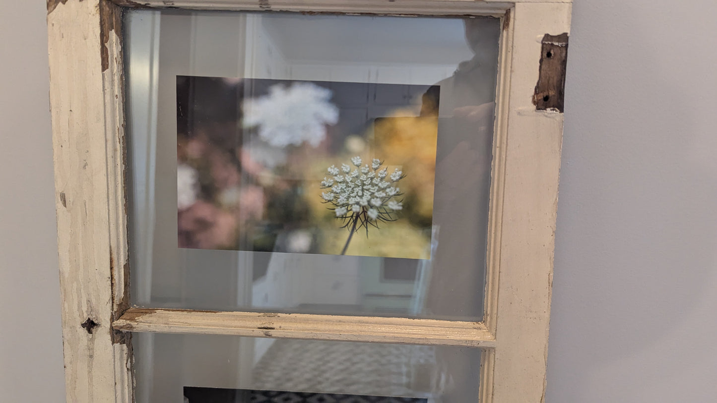 Window Triptych - Flowers