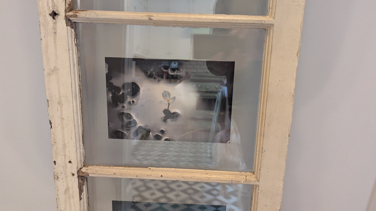 Window Triptych - Flowers