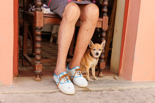 Erwitt inspired - 2025