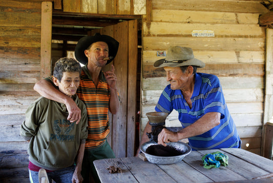 Granos de Cafe - 2025